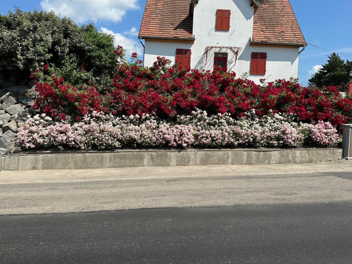 Au Parfum Des Roses Apartman Gunstett Kültér fotó