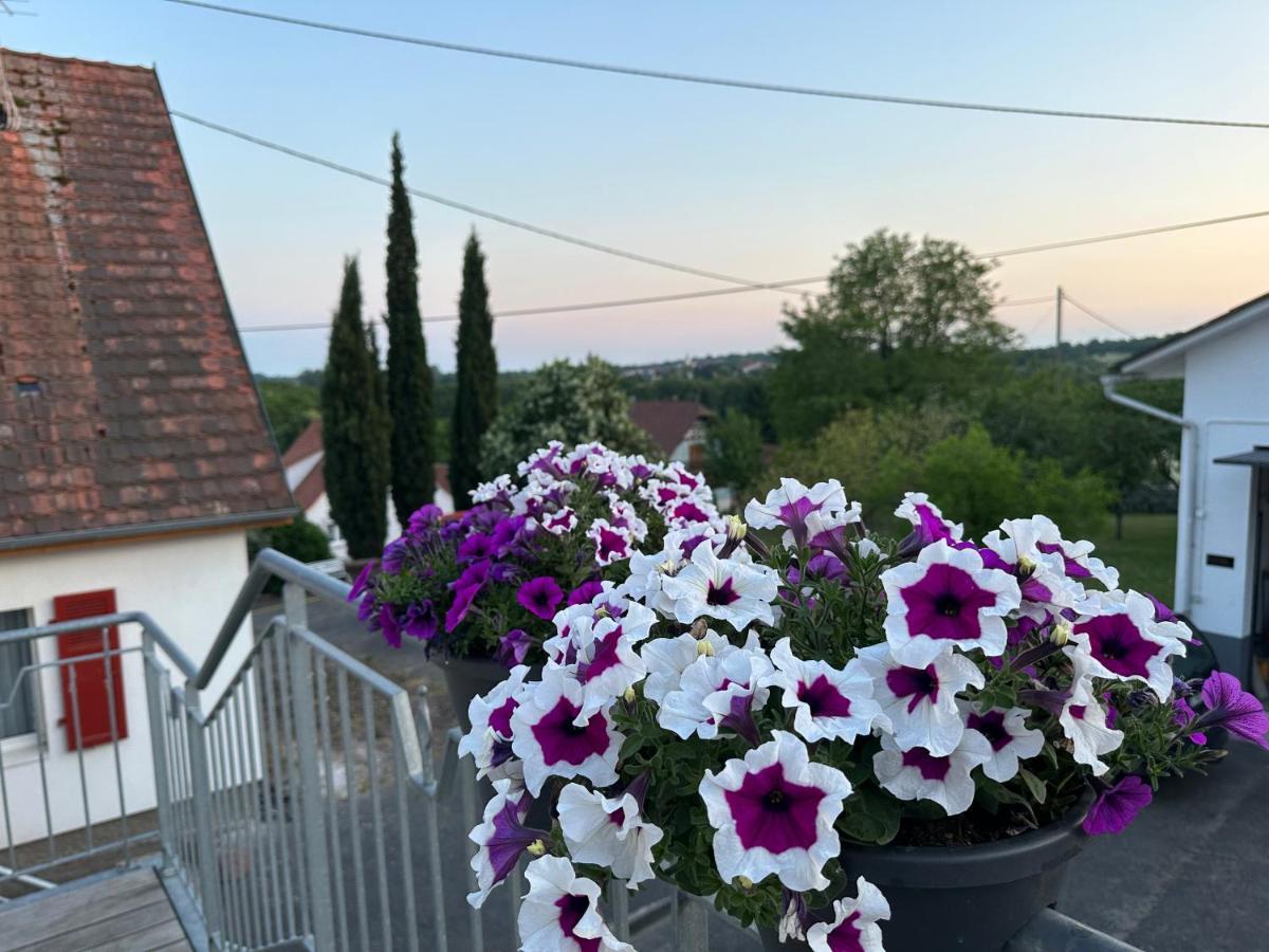 Au Parfum Des Roses Apartman Gunstett Kültér fotó