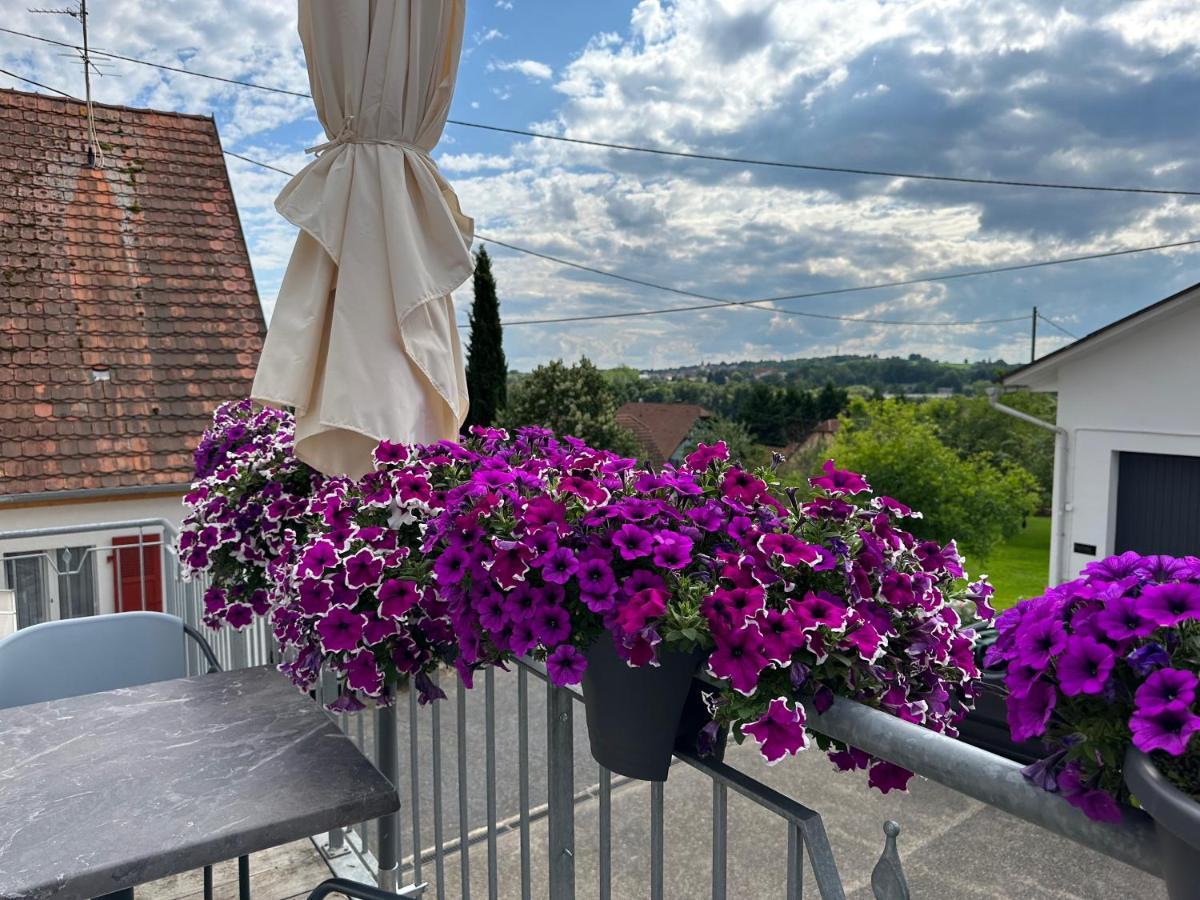 Au Parfum Des Roses Apartman Gunstett Kültér fotó
